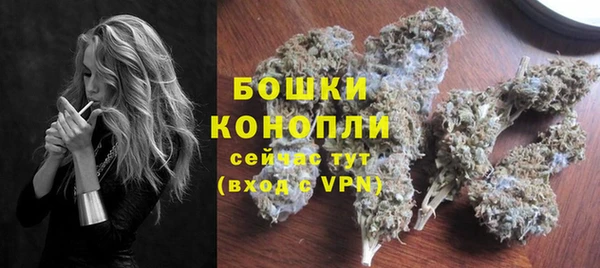 дурь Сатка