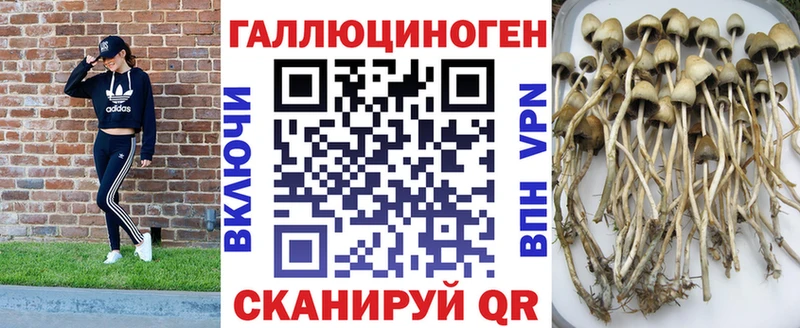 купить наркоту  Калининск  Псилоцибиновые грибы прущие грибы 